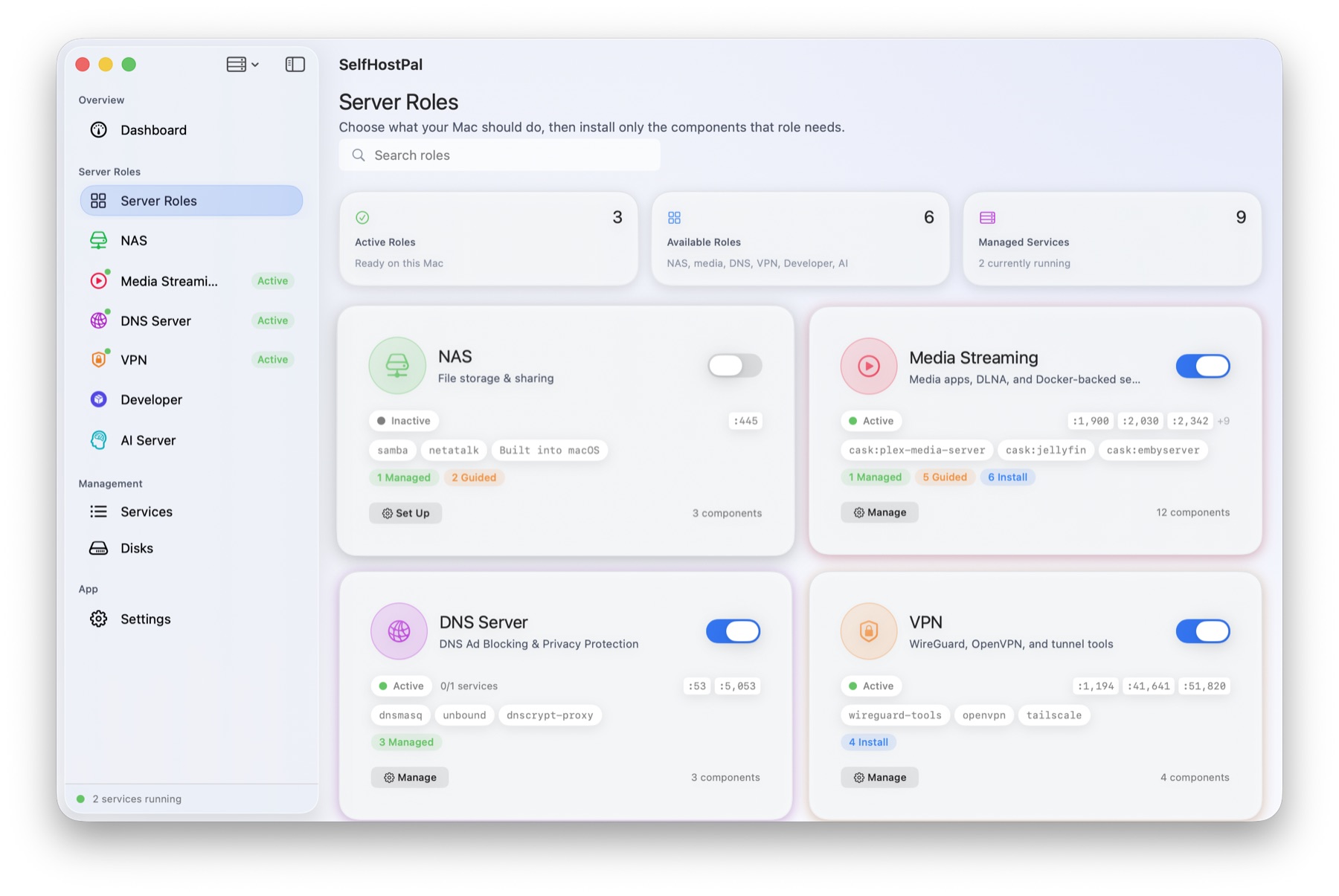 SelfHostPal server role selection screen